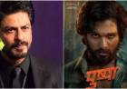 अल्लू अर्जुनच्या ‘पुष्पा: द रुल’ला भिडणार शाहरुखचा ‘हा’ बहुप्रतीक्षित चित्रपट, ‘या’ दिवशी होणार प्रदर्शित