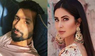 लग्नाआधीच विकी आणि कतरिनामध्ये झालं जोरदार भांडण? 