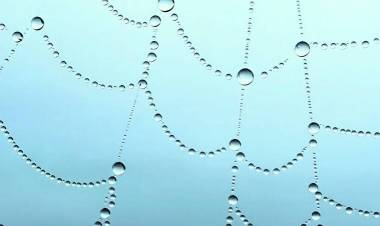  iPhone 13 Pro ने कोल्हापूरच्या सॉफ्टवेअर इंजिनिअरने टिपलेल्या फोटोला ‘Apple Award’