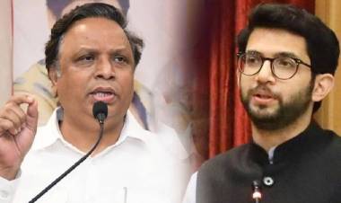 आशिष शेलारांचा शिवसेनेला सूचक शब्दांत टोला