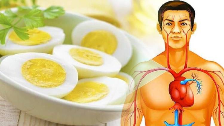 अंडी खाल्ल्याने हार्ट अटॅक, बीपी झपाट्याने कमी होईल?